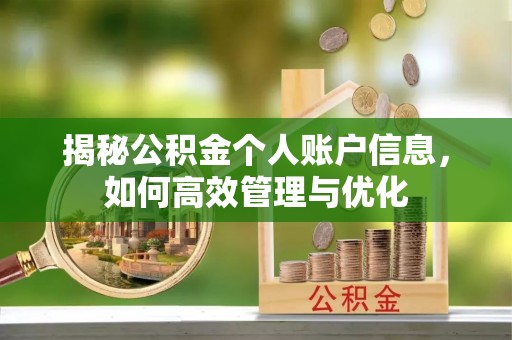 靖宇揭秘公积金个人账户信息，如何高效管理与优化