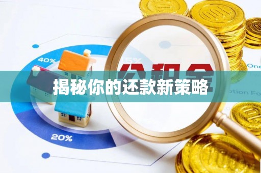 靖宇揭秘你的还款新策略