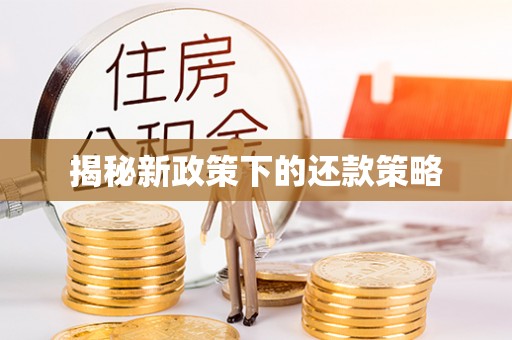 靖宇揭秘新政策下的还款策略
