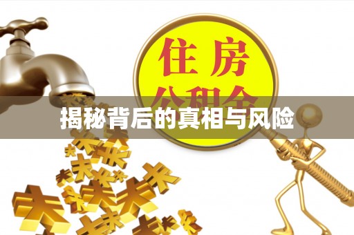 靖宇揭秘背后的真相与风险