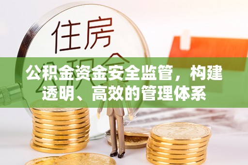 靖宇公积金资金安全监管，构建透明、高效的管理体系