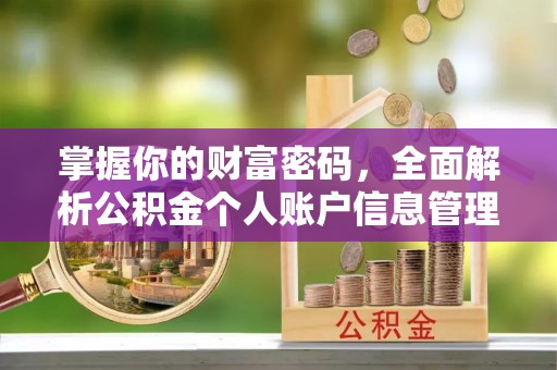 靖宇掌握你的财富密码，全面解析公积金个人账户信息管理与优化