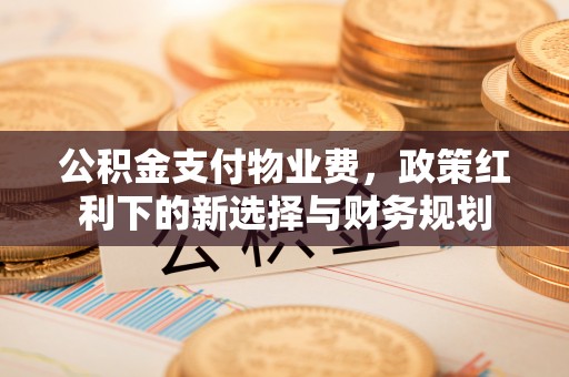 靖宇公积金支付物业费，政策红利下的新选择与财务规划