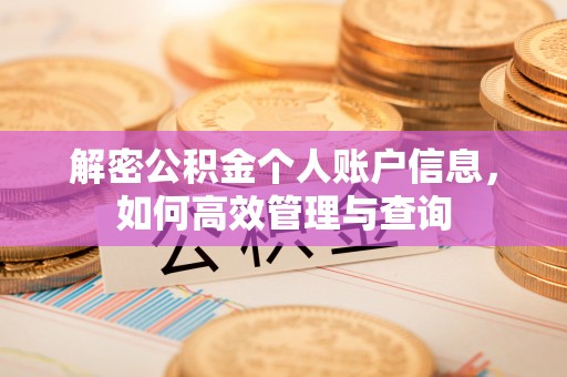 靖宇解密公积金个人账户信息，如何高效管理与查询