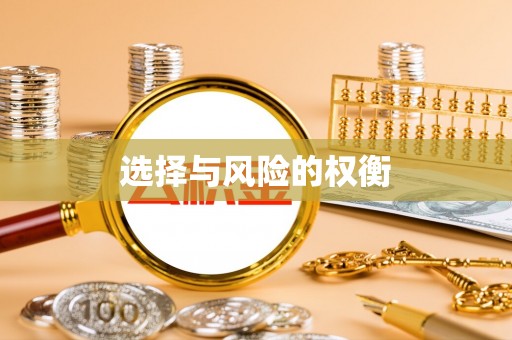 靖宇选择与风险的权衡