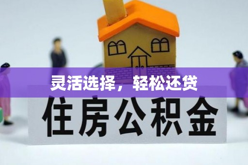 靖宇灵活选择，轻松还贷