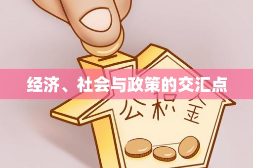 靖宇经济、社会与政策的交汇点