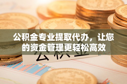 靖宇公积金专业提取代办，让您的资金管理更轻松高效