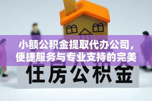 靖宇小额公积金提取代办公司，便捷服务与专业支持的完美结合
