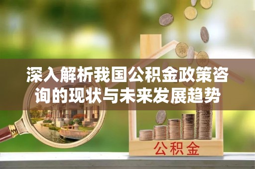 靖宇深入解析我国公积金政策咨询的现状与未来发展趋势