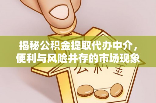 靖宇揭秘公积金提取代办中介，便利与风险并存的市场现象