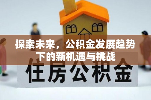 靖宇探索未来，公积金发展趋势下的新机遇与挑战