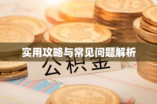 靖宇实用攻略与常见问题解析