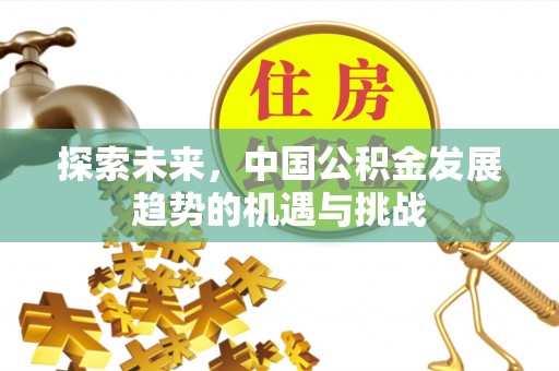 靖宇探索未来，中国公积金发展趋势的机遇与挑战
