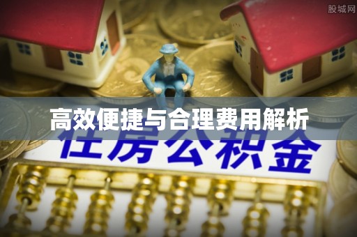 靖宇高效便捷与合理费用解析
