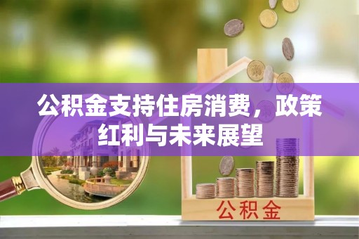靖宇公积金支持住房消费，政策红利与未来展望