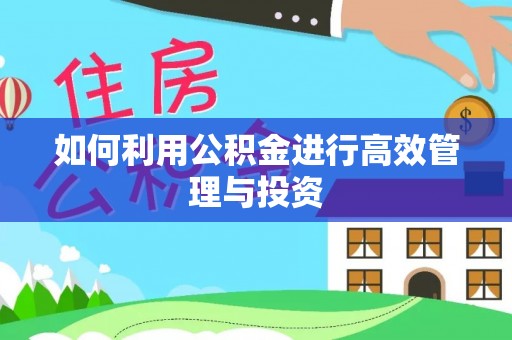 靖宇如何利用公积金进行高效管理与投资