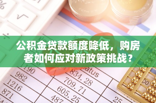 靖宇公积金贷款额度降低，购房者如何应对新政策挑战？
