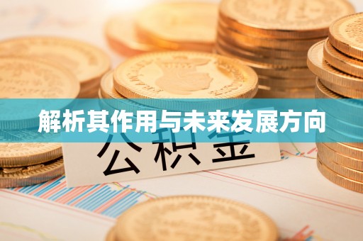 靖宇解析其作用与未来发展方向