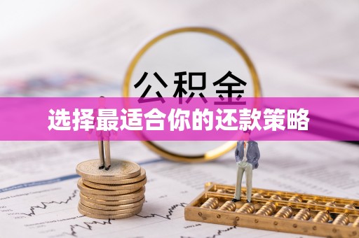 靖宇选择最适合你的还款策略