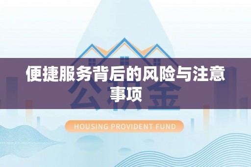 靖宇便捷服务背后的风险与注意事项