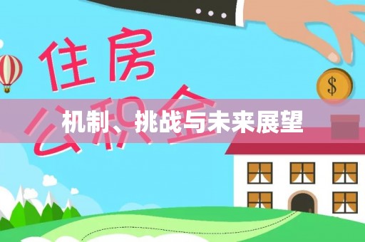 靖宇机制、挑战与未来展望